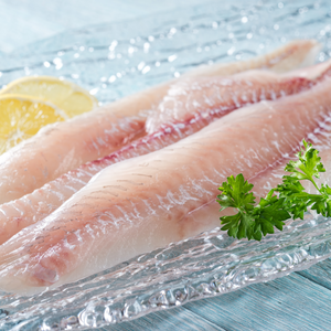 Haddock Fillets